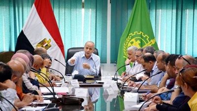 محافظ القليوبية : 2018 عام ”القرية”