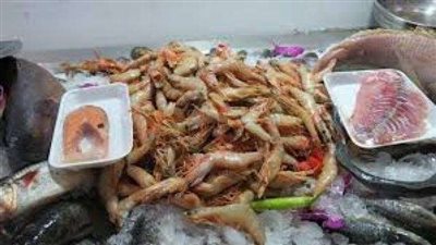 أسعار الأسماك اليوم... البلطي يسجل 19 جنيهًا والجمبري يقفز إلى 310