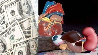 15 يوليو.. أولى جلسات محاكمة المتهمين في «الاتجار بالبشر»