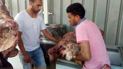 ضبط 250 كيلو لحوم فاسدة بالدقهلية