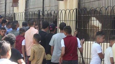 توافد المواطنين على حديقة الحيوان بأول أيام عيد الفطر