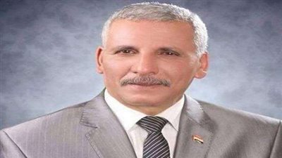 برلمانى يكشف سبب تأخر تطبيق قانون الخدمة المدنية