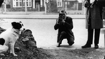 حكاية مونديال..كلب يستعيد كأس العالم المسروق