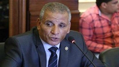 نائب: قانون العمل الجديد ضمن حقوق العمال والمستثمرين