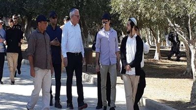 51 مستوطنا يقتحمون المسجد الأقصى تحت حراسة مشددة