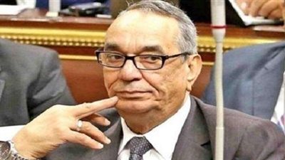 عضو «دفاع البرلمان» محاولات عودة الجماعة الإرهابية فاشلة قبل أن تبدأ