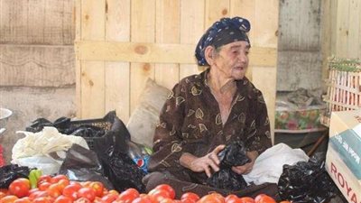 في لفتة إنسانية..رئيس حي غرب المنصورة يأمر بتوفير مروحة لبائعة خضار مُسنة