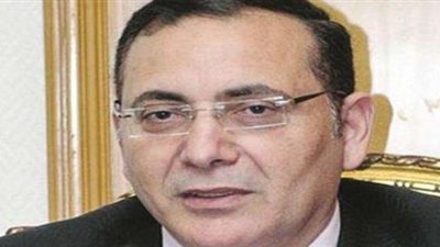 الزيني يطالب السيسي بإنشاء منطقة صناعية إفريقية