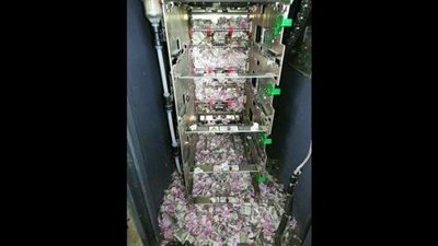 فئران جائعة تقرض عملات تزيد قيمتها على 19 ألف دولار أمريكي