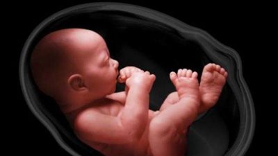 بالإيجار.. 33 رحم امرأة كمبودية لرجال في الصين