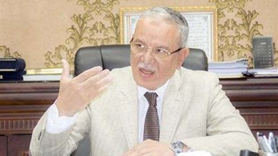 نائبة بالمنيا: نشهد للمحافظ بالانضباط ونظافة اليد..وهذا ما نفتقر إليه