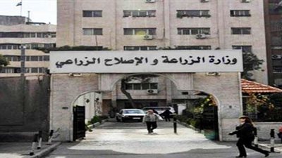 تجديد 44 مزرعة و27 محطة إنتاج حيواني لزيادة السلع بالمنافذ