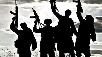 خبراء يوضحون.. كيف تساعد مصر أشقائها في الحرب على الإرهاب؟