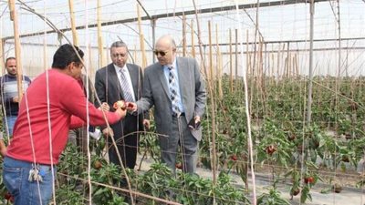 عماد عتمان يتفقد أقسام المنتجات الزراعية والصوب بـ 