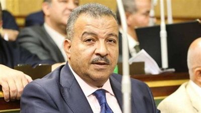 «برلماني»: زيادة أسعار الدواء مرهونة بموافقة وزارة الصحة