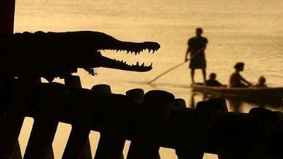 تأكل الزواحف أبنائها.. تمساح جائع يلتهم أخر (فيديو)