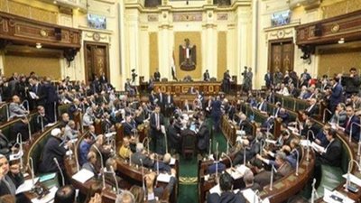 «الخدمة العامة».. أبرز القوانين على طاولة «رياضة النواب» الإثنين المقبل