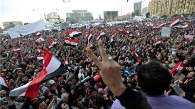 برلماني: 30 يونيو حررت الوطن من الجماعة الإرهابية