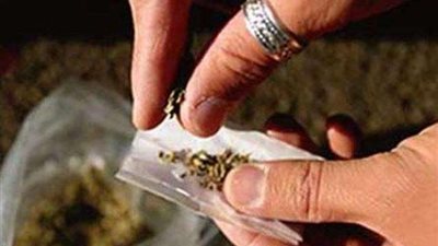 ​​​​​​​حبس ثلاثة عاطلين لحيازتهم 3 كيلو من نبات الـ”فودو” المخدر