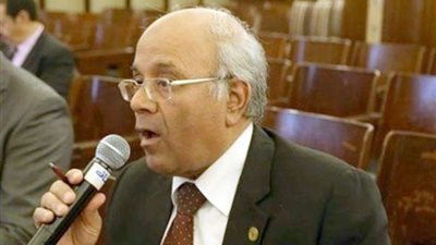 برلماني: لجان التوفيق فى منازعات الوزارات تكلف الدولة ملايين