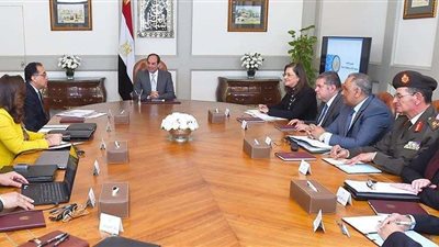 الرئيس السيسي يتابع تنفيذ مشروع مدينة دمياط للأثاث