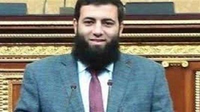 «البكري»: الدولة  ستتولى الإشراف على الجامعات الأجنبية في مصر