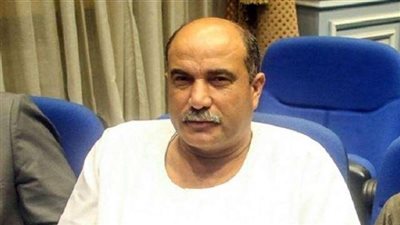 «زراعة البرلمان»: أحكام قانون الري لن تفرق بين مسئول ومواطن عادي