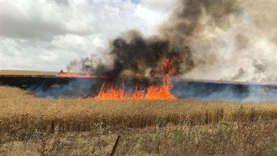 حريق في 5 مستوطنات اسرائيلية بفعل البالونات الحارقة (فيديو)