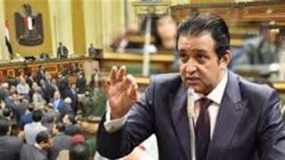 برلماني: مصر تعيش أزهي عصورها فى حقوق الإنسان