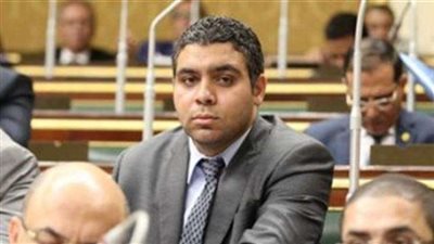 ”الورداني”: مصر ستظل بخير بوجود منظمات المجتمع المدني