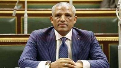 وكيل «محلية البرلمان»: «تكافل وكرامة» لا يصل لمستحقيه