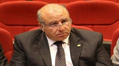 «البطيخي»: عودة الجماهير للمدرجات بالتدريج تجنبًا لأحداث الشغب