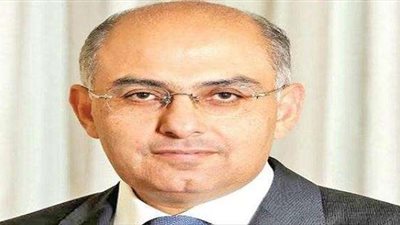 «سلطان»: برنامج الحكومة يستهدف خفض البطالة إلى 8% (فيديو)