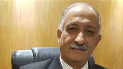 عضو «اقتصادية البرلمان»: أداء موظفي «مصلحة الضرائب» السبب وراء عزوف الممولين