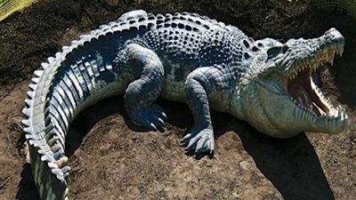 محمد رجائي: لم يهرب أي تمساح من حديقة الحيوان