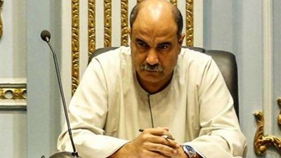 برلماني:  زراعة 10 ملايين فدان تساعد على قضاء الفجوة الغذائية