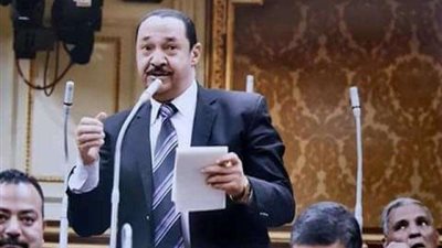 برلمانى: المجالس المحلية ليس لها دور ملموس على أرض الواقع