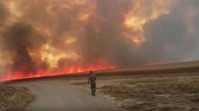 إندلاع 23 حريقًا في مستوطنات إسرائيلية بسبب «البالونات الفلسطينية»