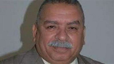 برلماني: أجرينا دراسات عديدة لتطوير منظومة «النقل النهري»