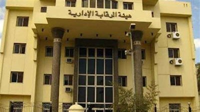 «الجريمة والعقاب».. حقوقي يكشف عقوبة رئيس مصلحة الجمارك بتهمة الرشوة