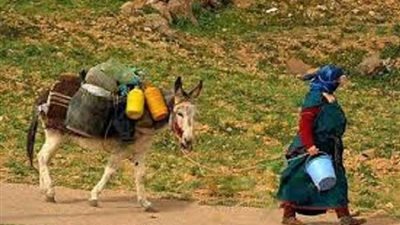 10 مليون جنيه قيمة تمويل مبادرة المرأة الريفية المعيلة