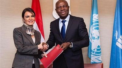 تفاصيل زيارة الوفد المصري إلى العاصمة التشادية 