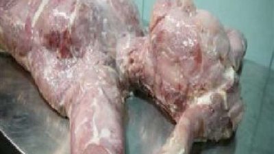 مباحث تموين المنيا تضبط مئات الأكيال من لحوم ودواجن فاسدة ببنى مزار