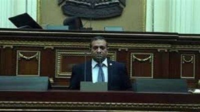 عضو بـ«صناعة البرلمان» ينادي بتبعية «المشروعات الصغيرة» لرئاسة الوزراء