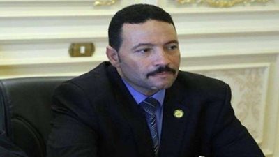 عضو «تعليم البرلمان»: مدارس المتفوقين تخرج علماء للدولة