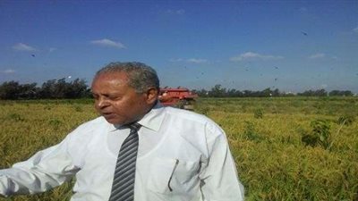 «زراعي»: مصر من أعلى منتجي السكر في العالم