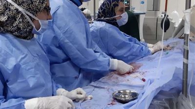 الأورمان تستقبل خبير إيطالي لجراحات القلب الحرجة بمستشفى جامعة طنطا