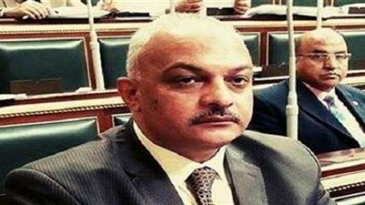 برلماني: لا صحة لمزاعم انتشار أدوية غير صالحة للاستخدام