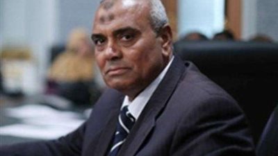 برلماني: منع زراعة الأرز له آثار سلبية كبيرة على الاقتصاد المصري (فيديو)