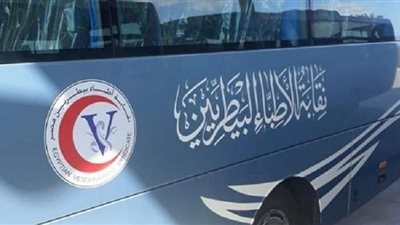 الكلاب الضالة تثير أزمة داخل نقابة البيطريين